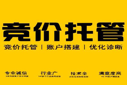 充值高返点案例：新手如何快速上手